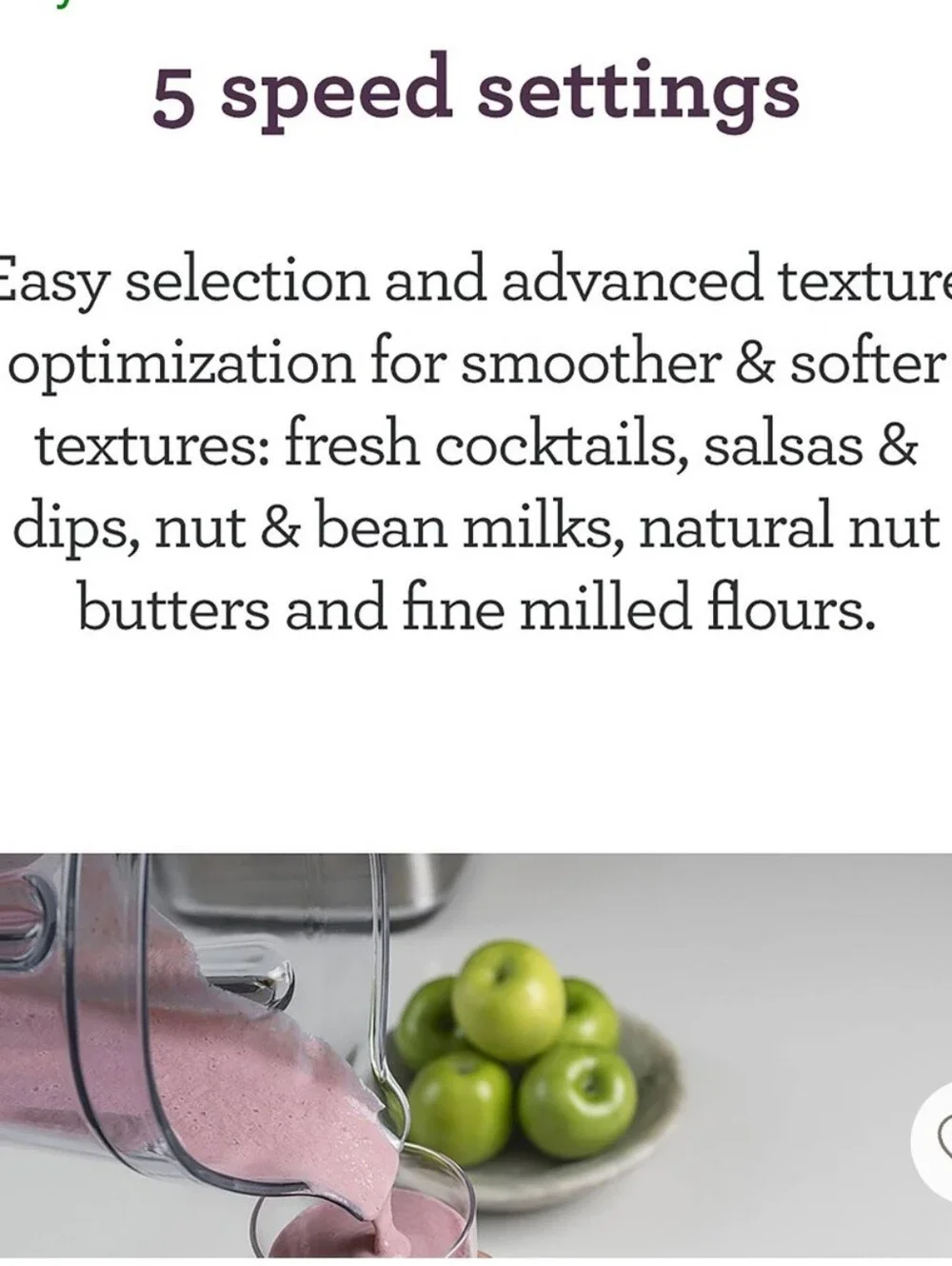 Breville The Q Blender- Smoked Hickory